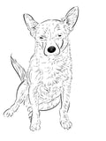 Custom Pet Illustration (1 pet - no colour)
